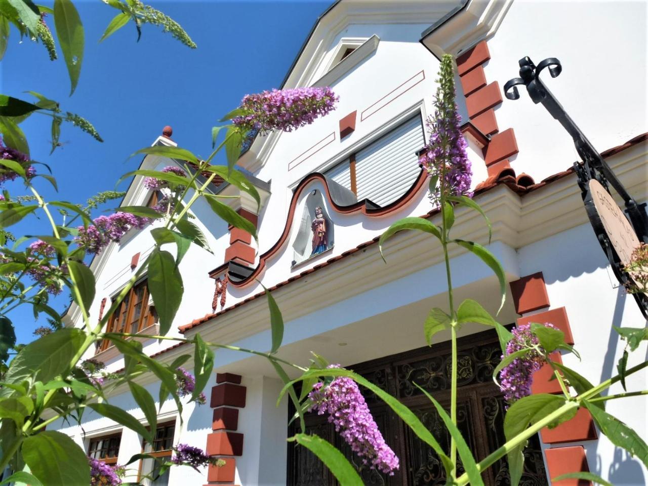 Hotel Gastehaus Benvenuto Sooss Zewnętrze zdjęcie