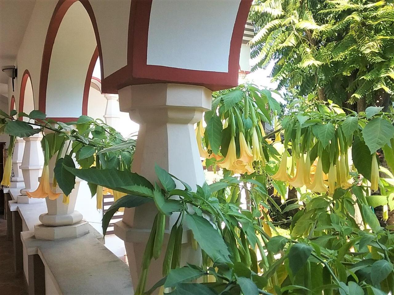 Hotel Gastehaus Benvenuto Sooss Zewnętrze zdjęcie