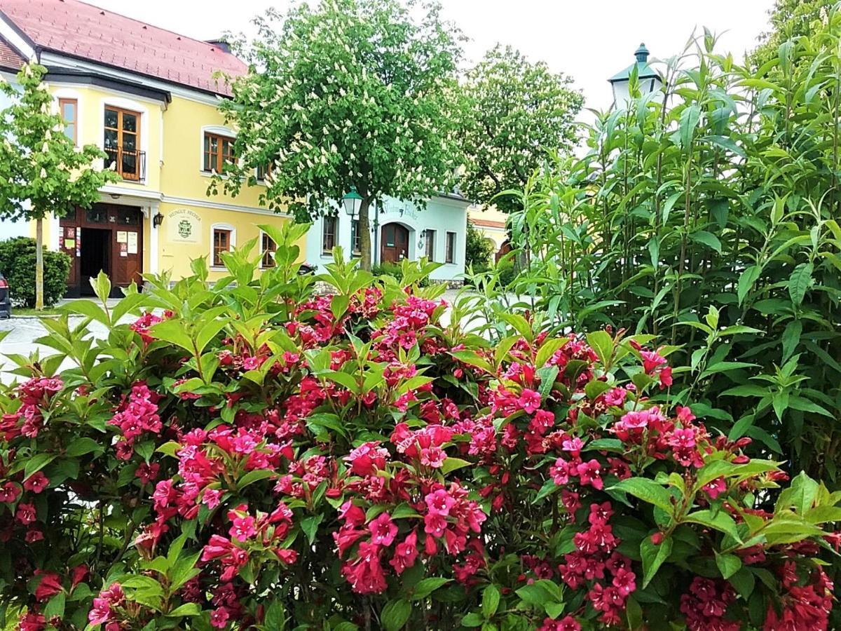 Hotel Gastehaus Benvenuto Sooss Zewnętrze zdjęcie